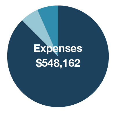 Pie chart showing expenses of $548,162 for the 2017/2018 impact report, with one segment highlighted in a lighter blue tone.
